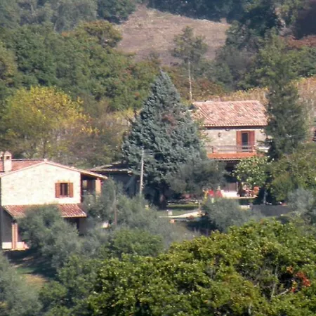 Vista Su